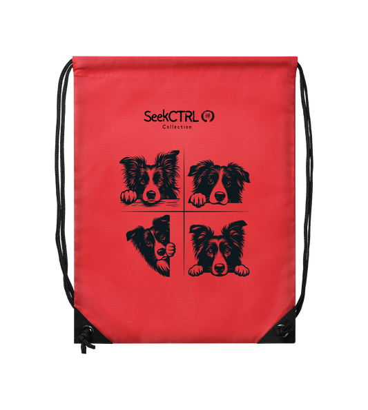 SC | Gym Sac BC Collection Four Creator Studio